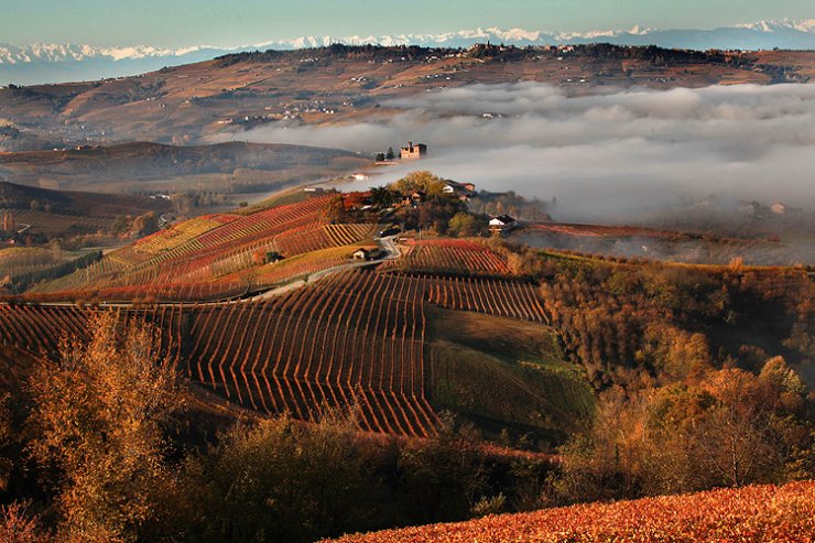 Autunno nei vigneti
