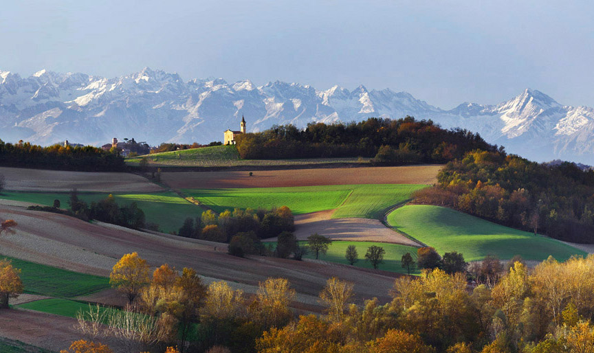 Primavera nei vigneti
